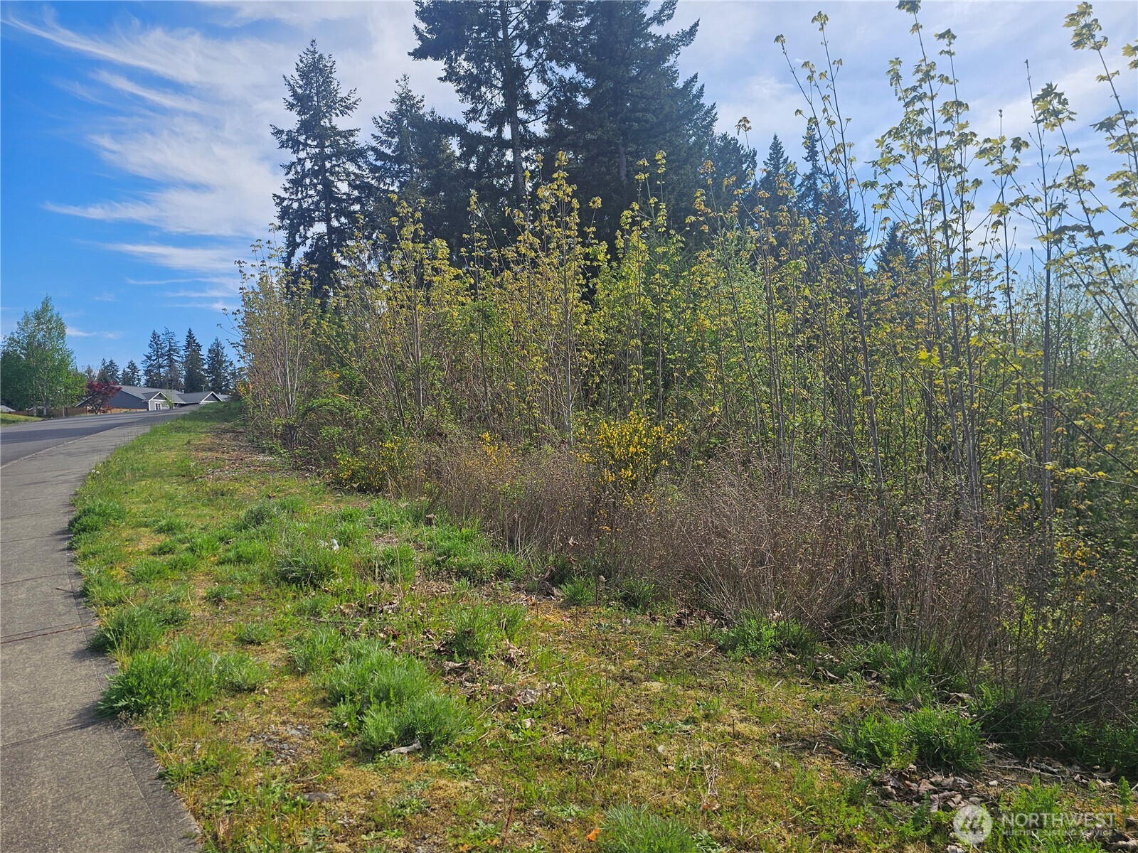 699 Myers Street SE, Rainier, WA 98576