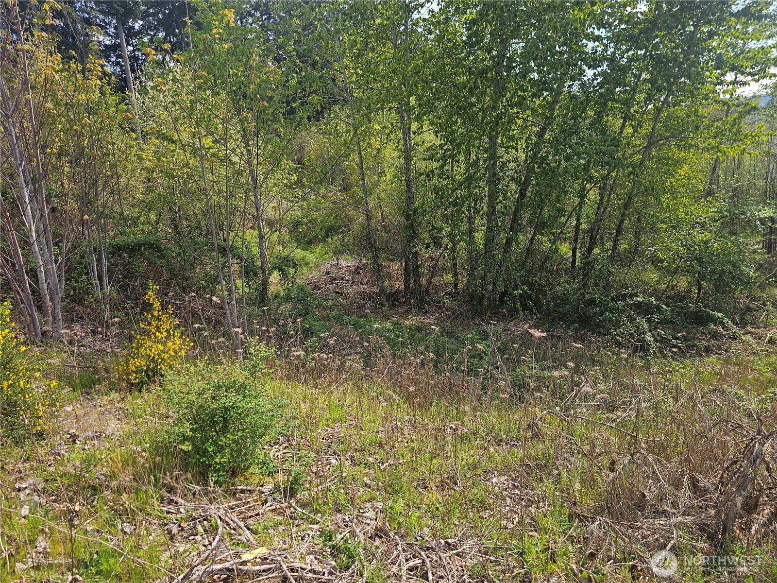699 Myers Street SE, Rainier, WA 98576