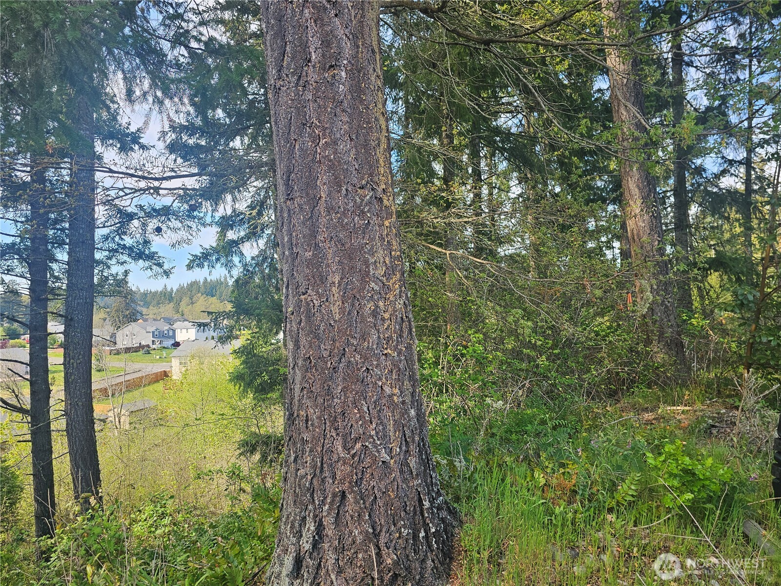 699 Myers Street SE, Rainier, WA 98576