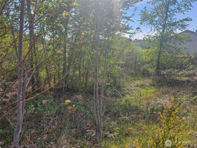 699 Myers Street SE, Rainier, WA 98576 - Photo 37