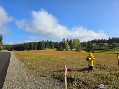 0 E Donbob Lane , Allyn, WA 98524 - Photo 1