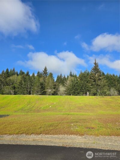 41 E Virgil Drive W, Allyn, WA 98524 - Photo 3
