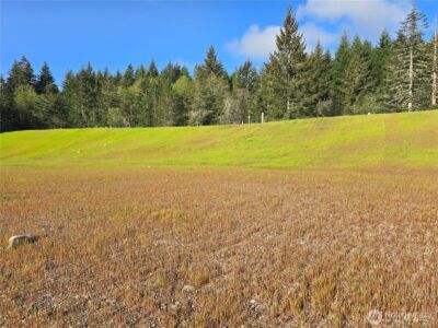 51 E Virgil Drive W, Allyn, WA 98524 - Photo 1