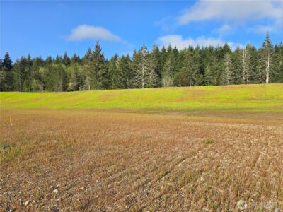 71 E Virgil Drive W, Allyn, WA 98524 - Photo 1