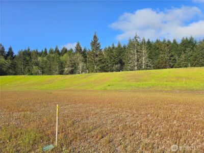 61 E Virgil Drive W, Allyn, WA 98524 - Photo 1