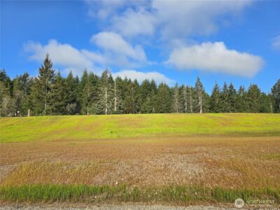 61 E Virgil Drive W, Allyn, WA 98524 - Photo 2