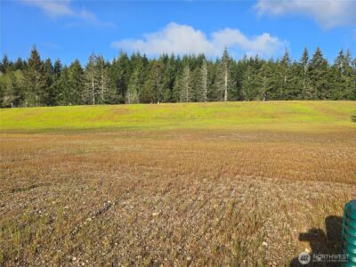 81 E Virgil Drive W, Allyn, WA 98524 - Photo 1