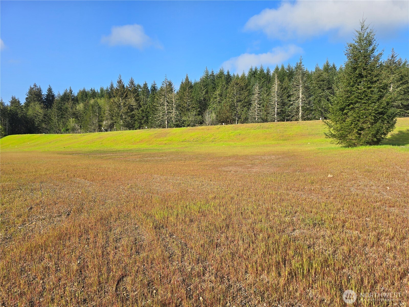 91 E Virgil Drive W, Allyn, WA 98524