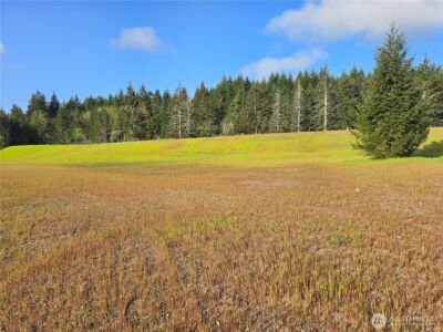 91 E Virgil Drive W, Allyn, WA 98524 - Photo 1