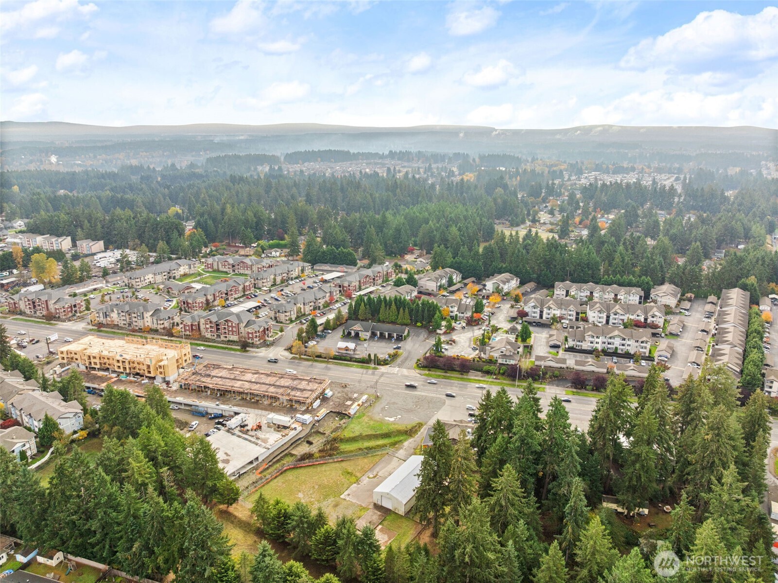 9042 Martin Way E, Lacey, WA 98516-5936
