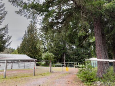 5010 Offut Lake Road SE, Tenino, WA 98589 - Photo 24