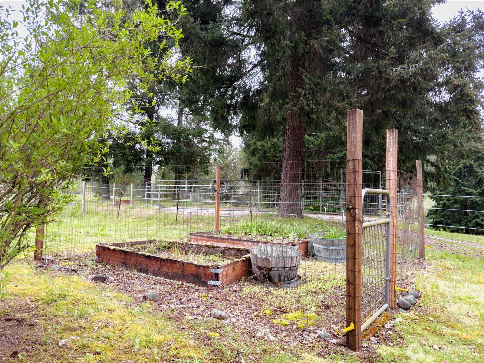 5010 Offut Lake Road SE, Tenino, WA 98589