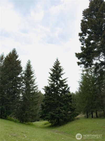 5010 Offut Lake Road SE, Tenino, WA 98589 - Photo 33