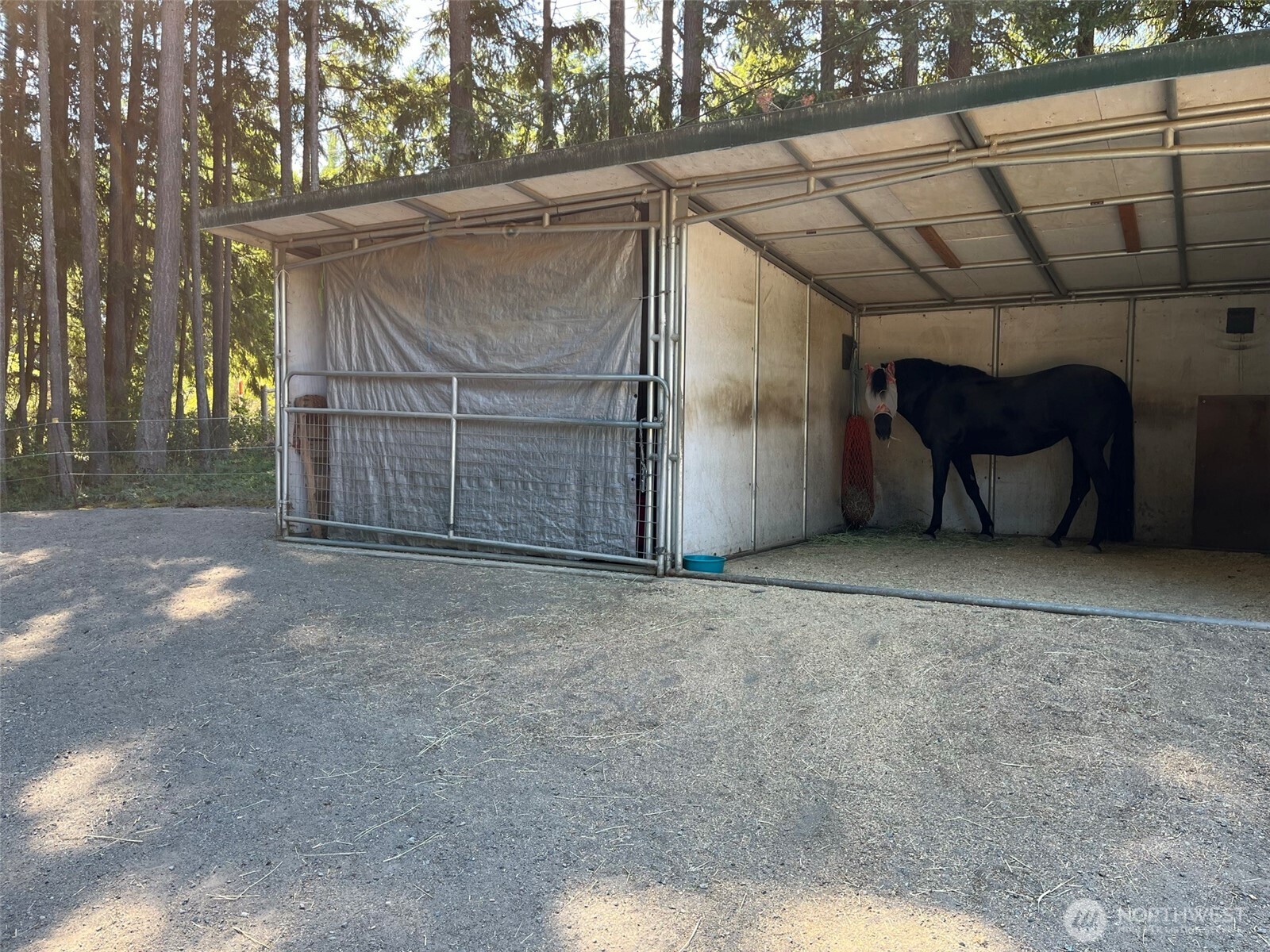 5010 Offut Lake Road SE, Tenino, WA 98589