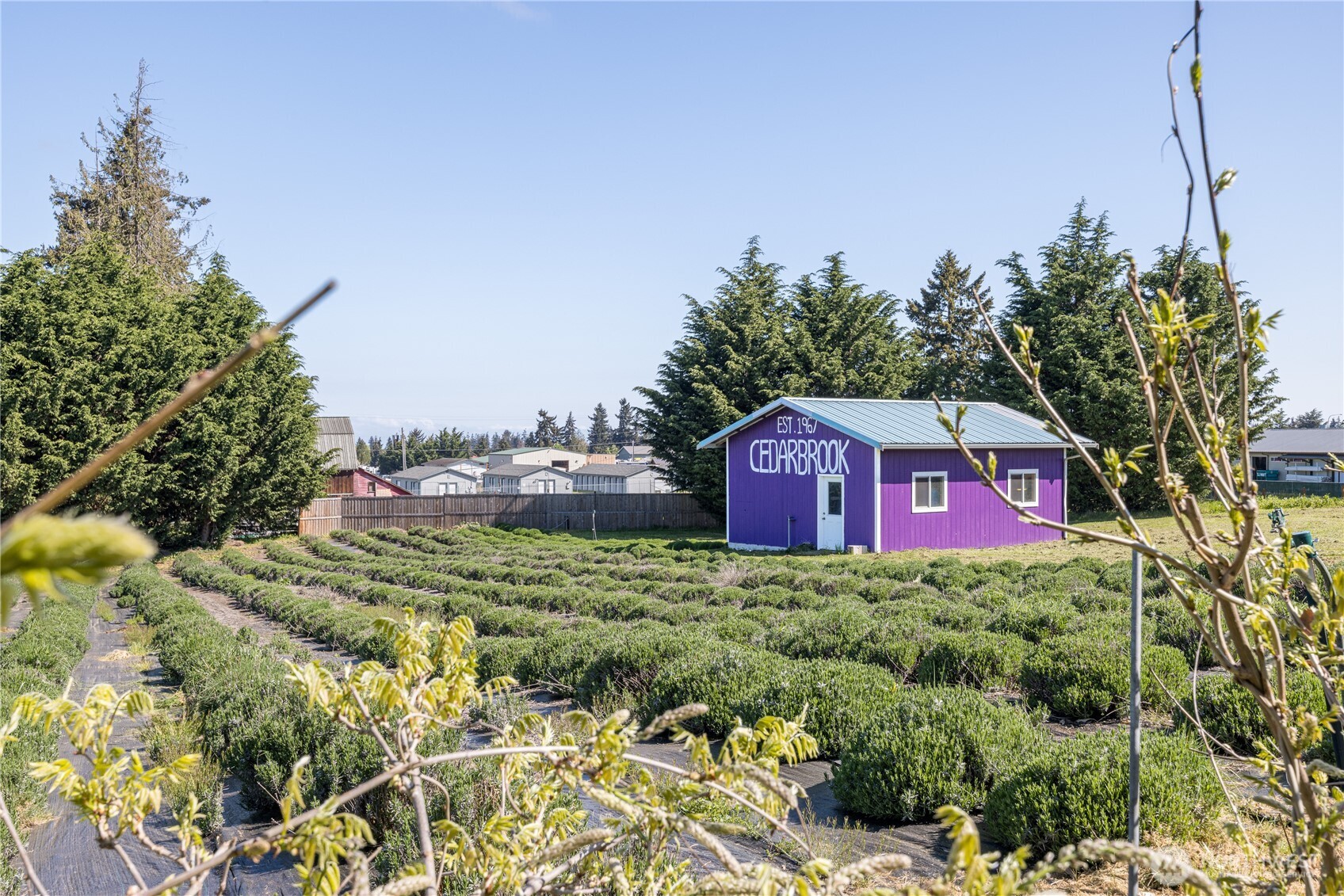 31 Brueckner Road , Sequim, WA 98382