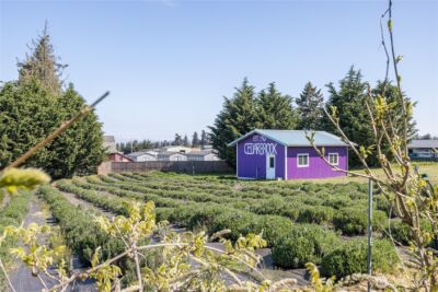 31 Brueckner Road , Sequim, WA 98382 - Photo 27