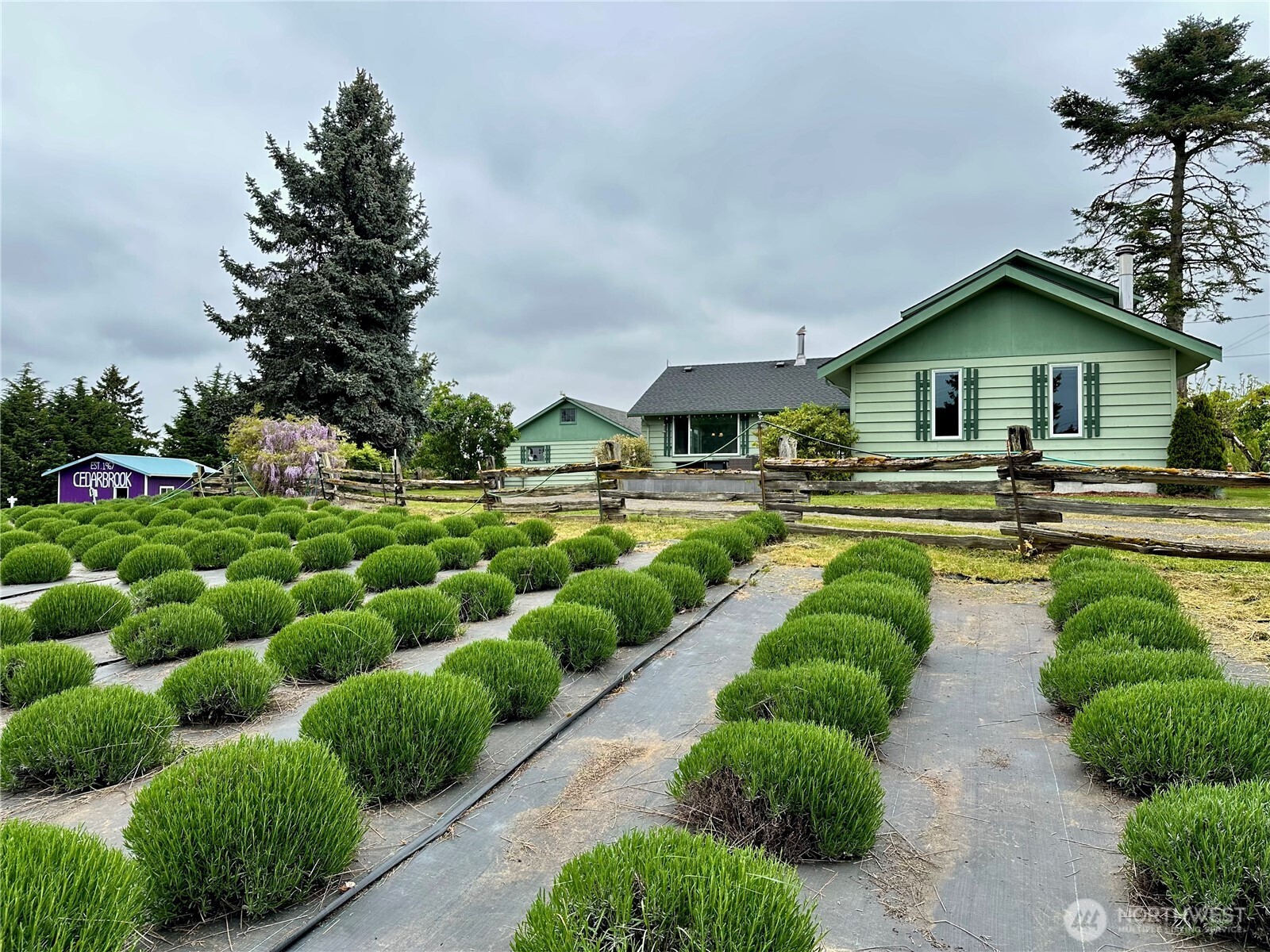 31 Brueckner Road , Sequim, WA 98382