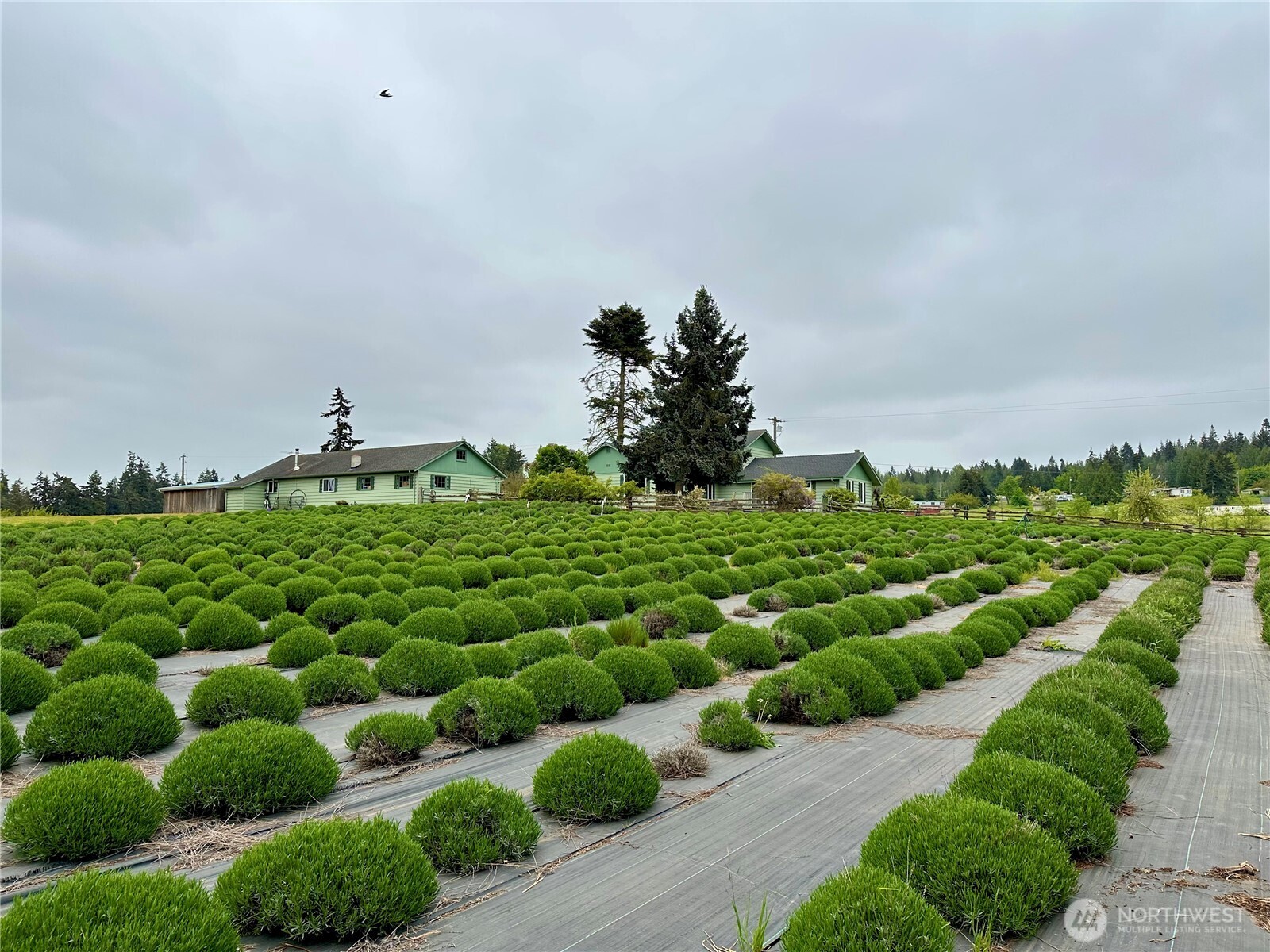 31 Brueckner Road , Sequim, WA 98382