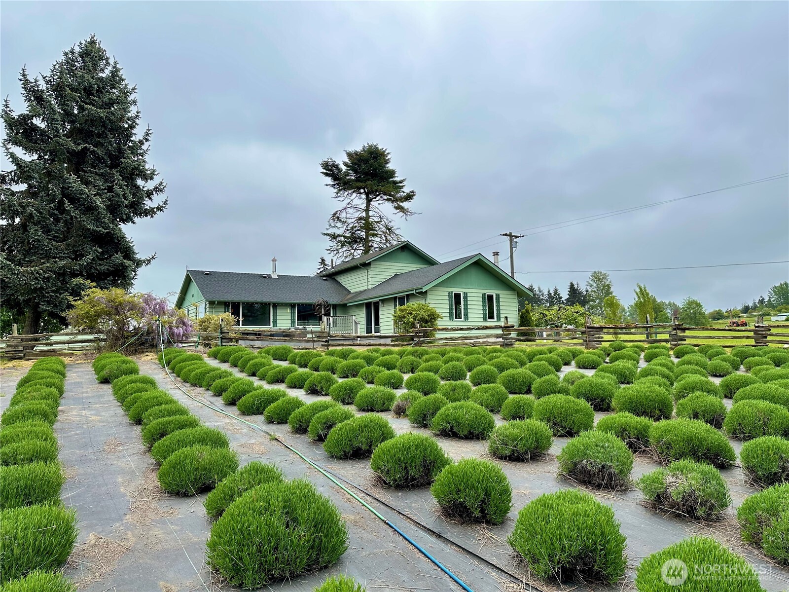 31 Brueckner Road , Sequim, WA 98382