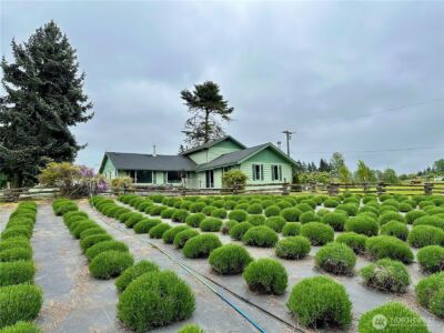 31 Brueckner Road , Sequim, WA 98382 - Photo 39