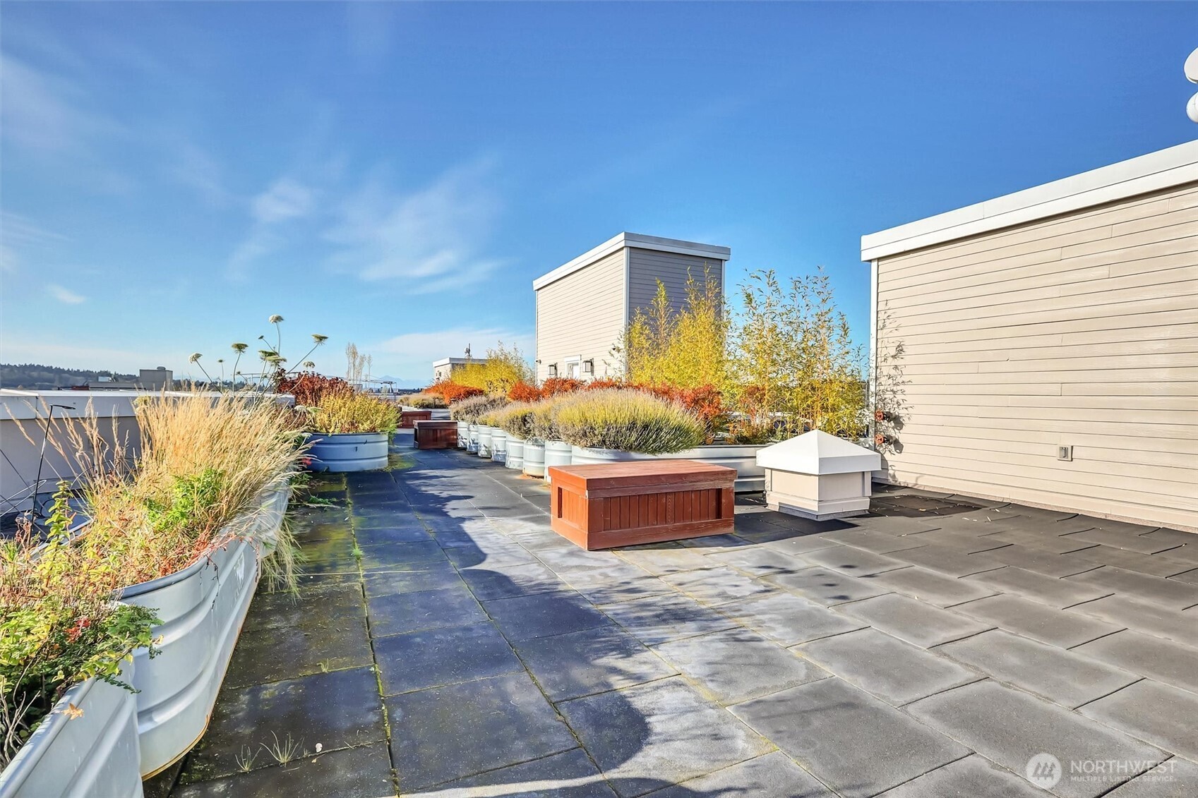 1545 NW 57th Street #306, Seattle, WA 98107