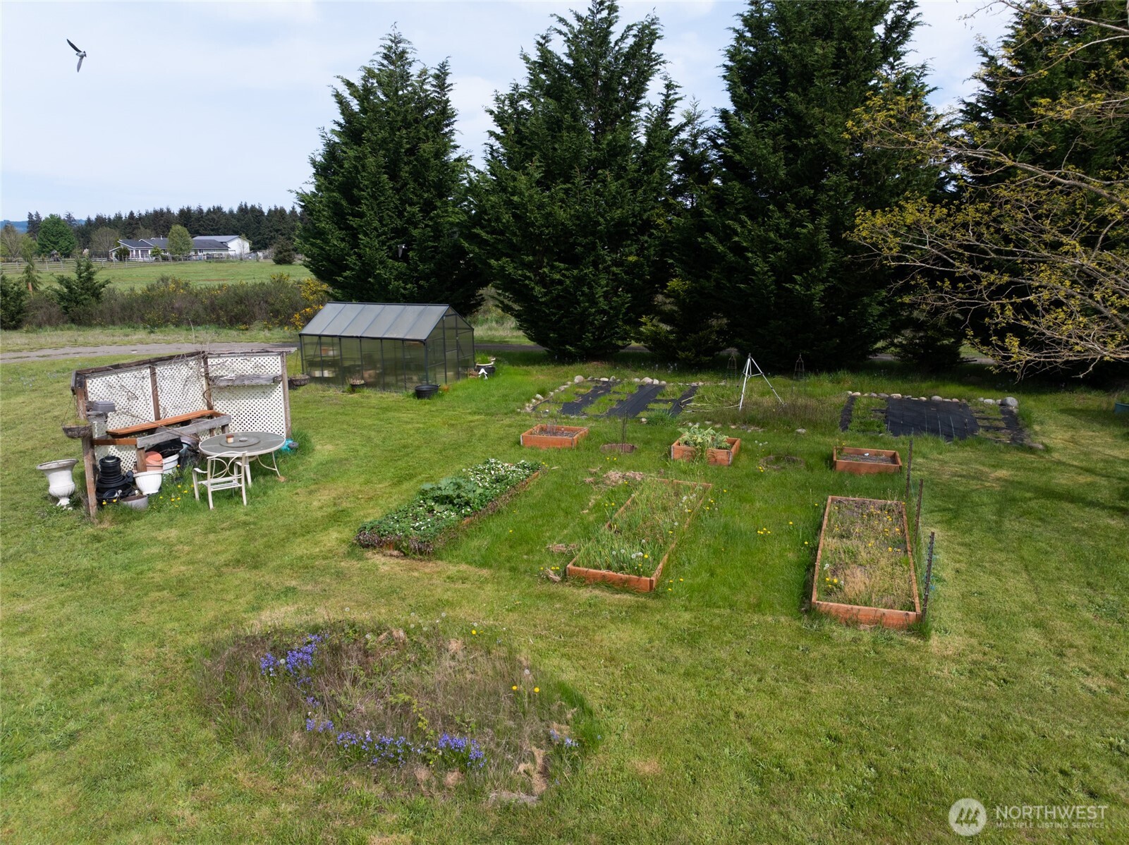 7332 183rd Avenue SW, Rochester, WA 98579