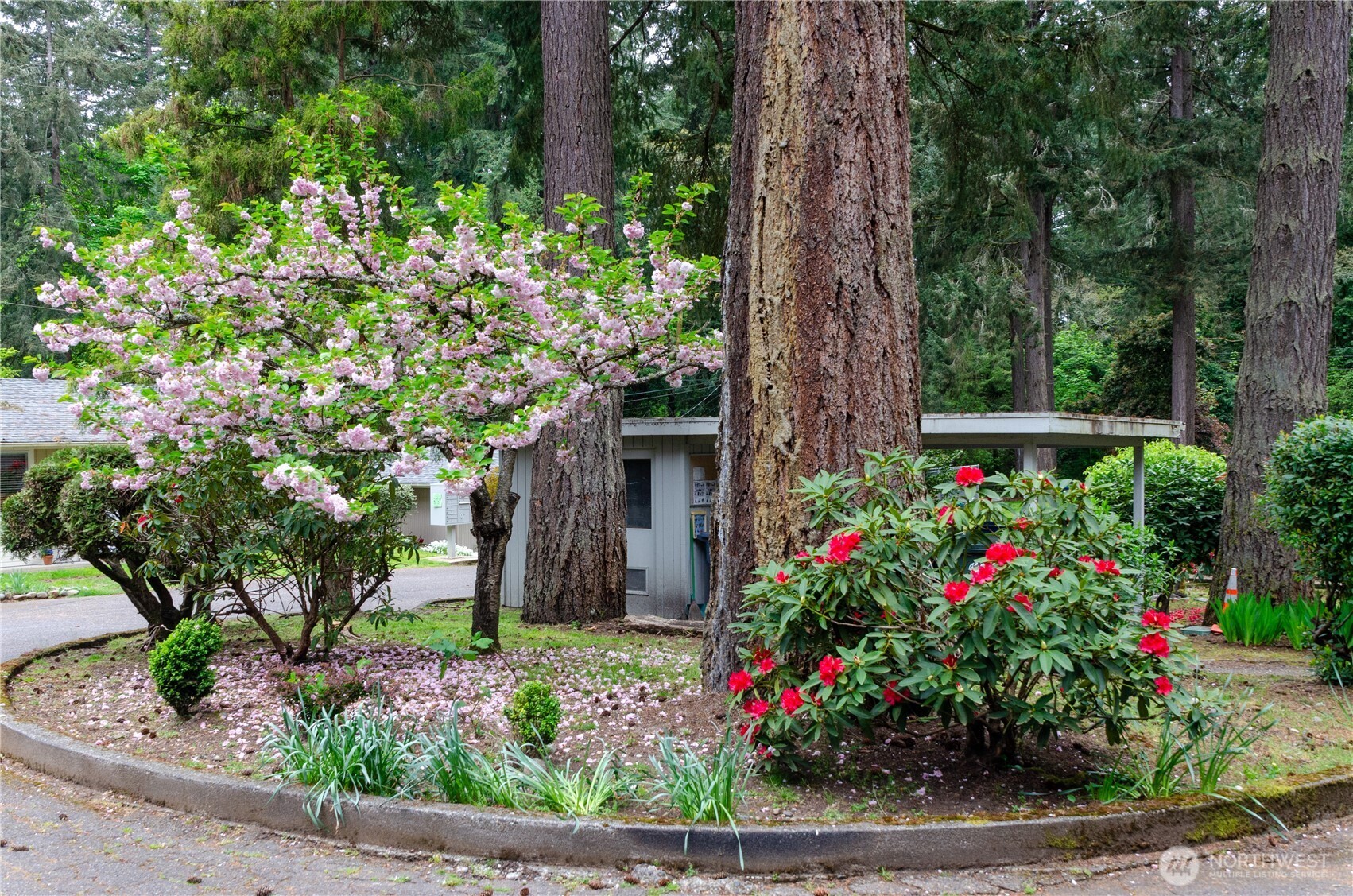 8221 SW Paine #8221, Lakewood, WA 98499