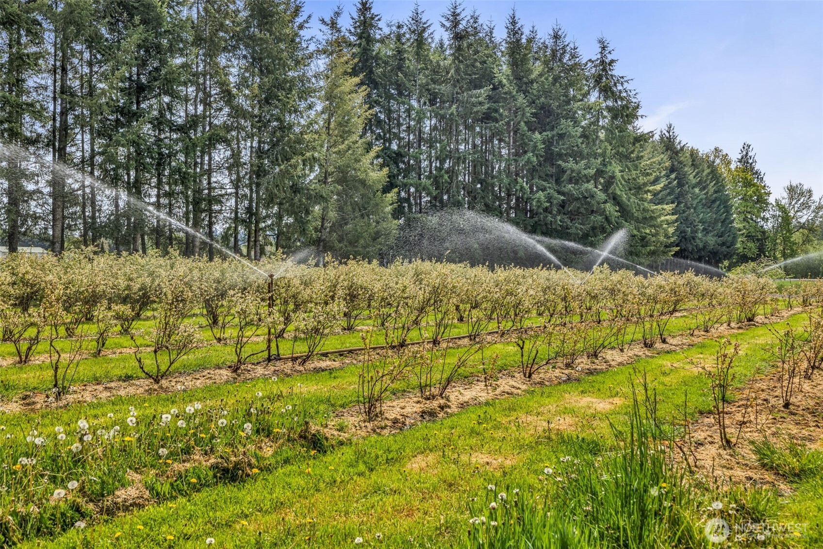 761 State Route 508 , Chehalis, WA 98532