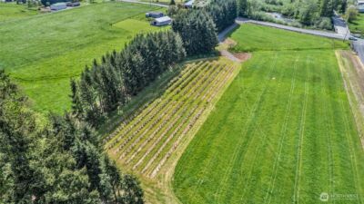 761 State Route 508 , Chehalis, WA 98532 - Photo 13