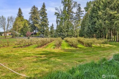 761 State Route 508 , Chehalis, WA 98532 - Photo 17