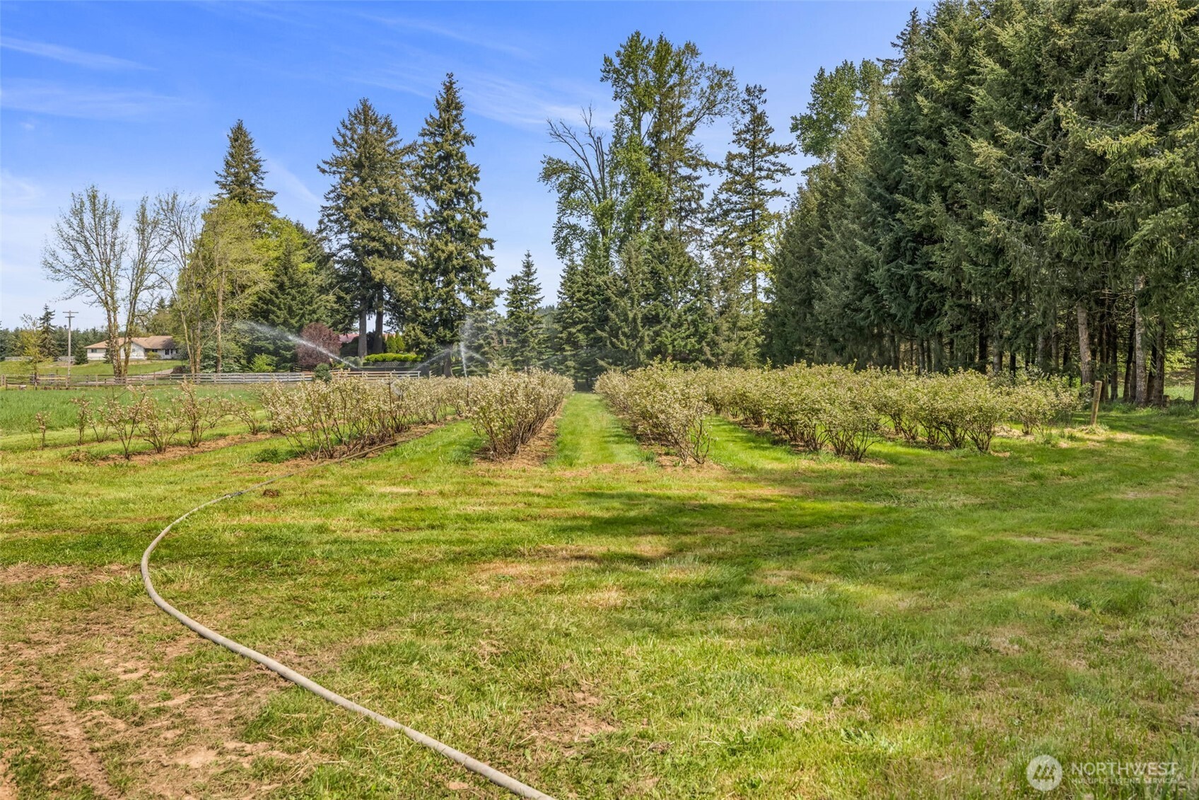 761 State Route 508 , Chehalis, WA 98532