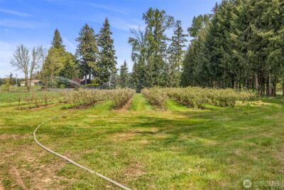 761 State Route 508 , Chehalis, WA 98532 - Photo 3