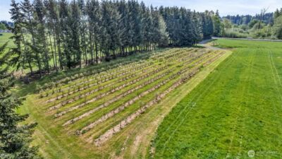 761 State Route 508 , Chehalis, WA 98532 - Photo 4