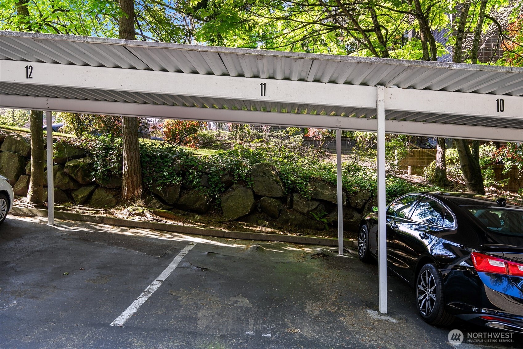 4106 Factoria Boulevard SE #205, Bellevue, WA 98006