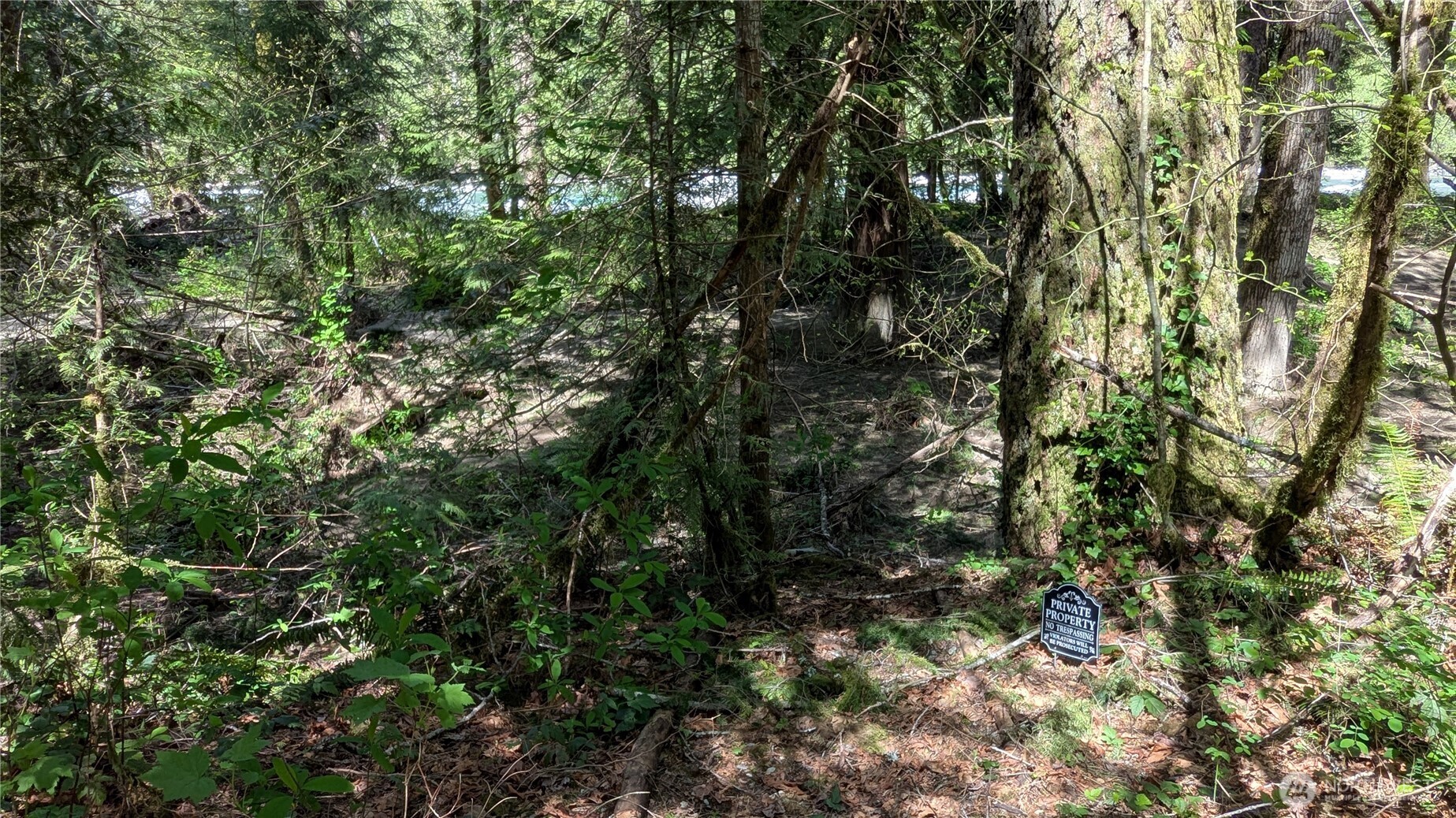 49817 Index-Galena Road , Index, WA 98294