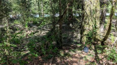 49817 Index-Galena Road , Index, WA 98294 - Photo 5