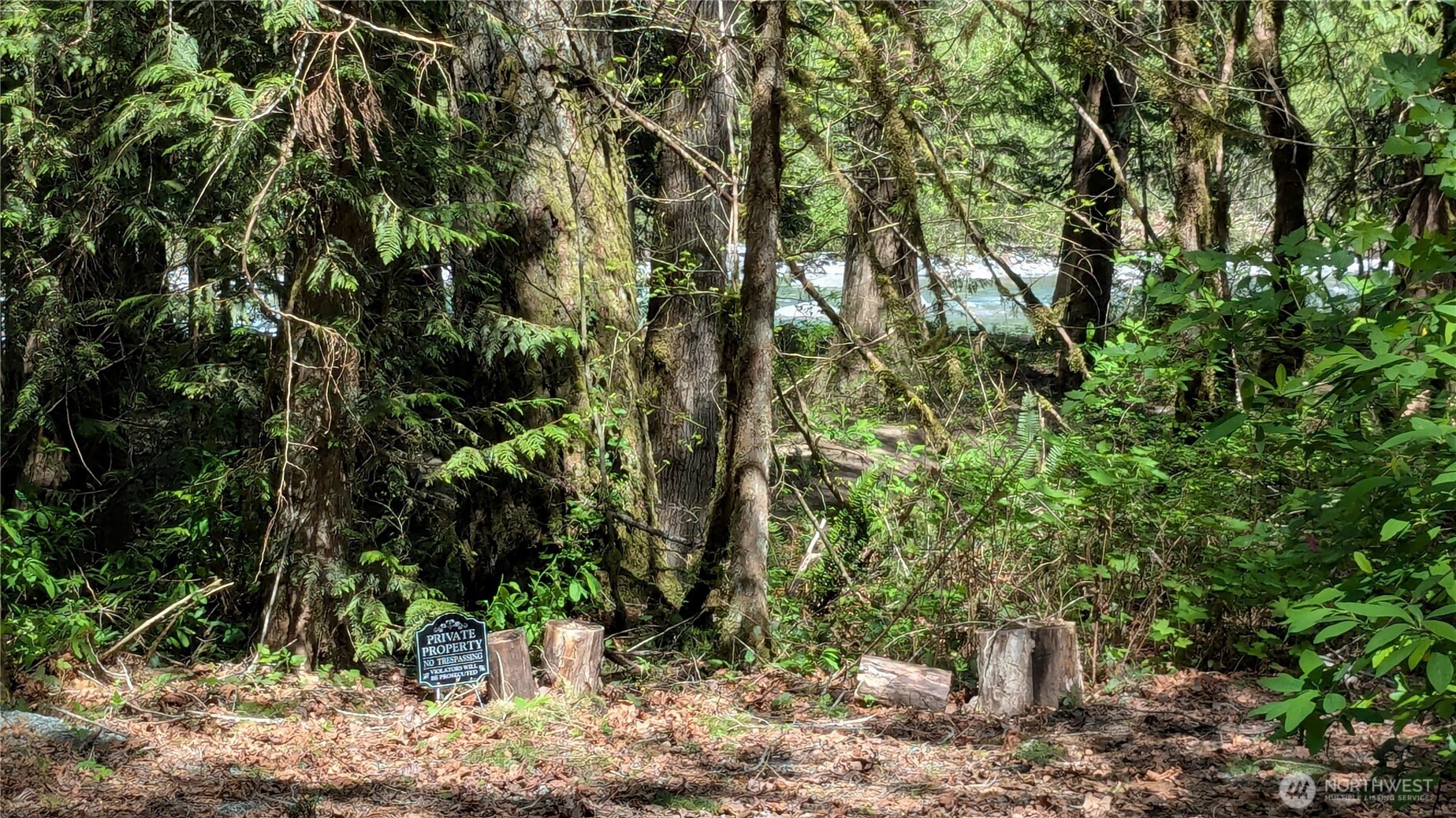 49817 Index-Galena Road , Index, WA 98294