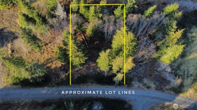 579 Thomas Street , Forks, WA 98331 - Photo 3