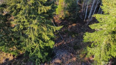 579 Thomas Street , Forks, WA 98331 - Photo 7