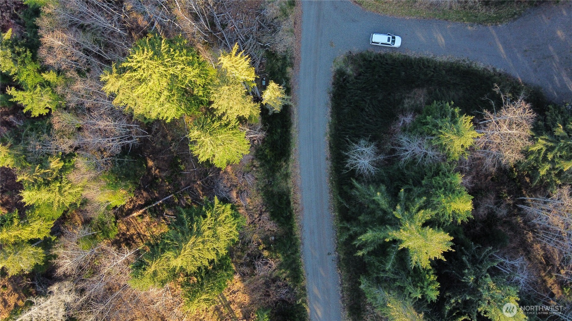 579 Thomas Street , Forks, WA 98331