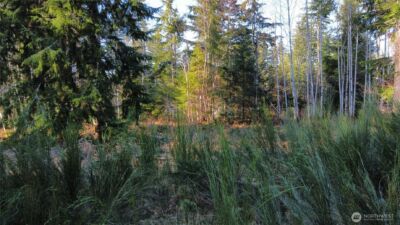 579 Thomas Street , Forks, WA 98331 - Photo 9