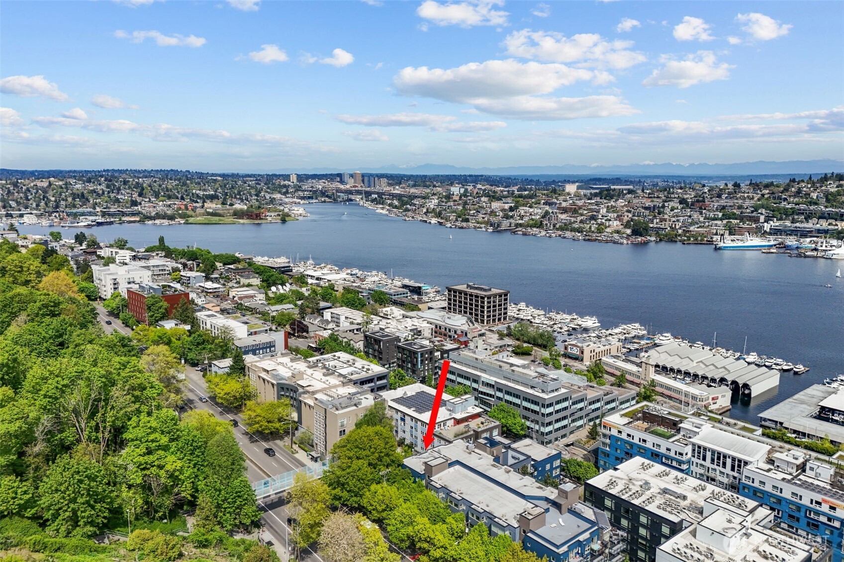 701 Galer Street #505, Seattle, WA 98109