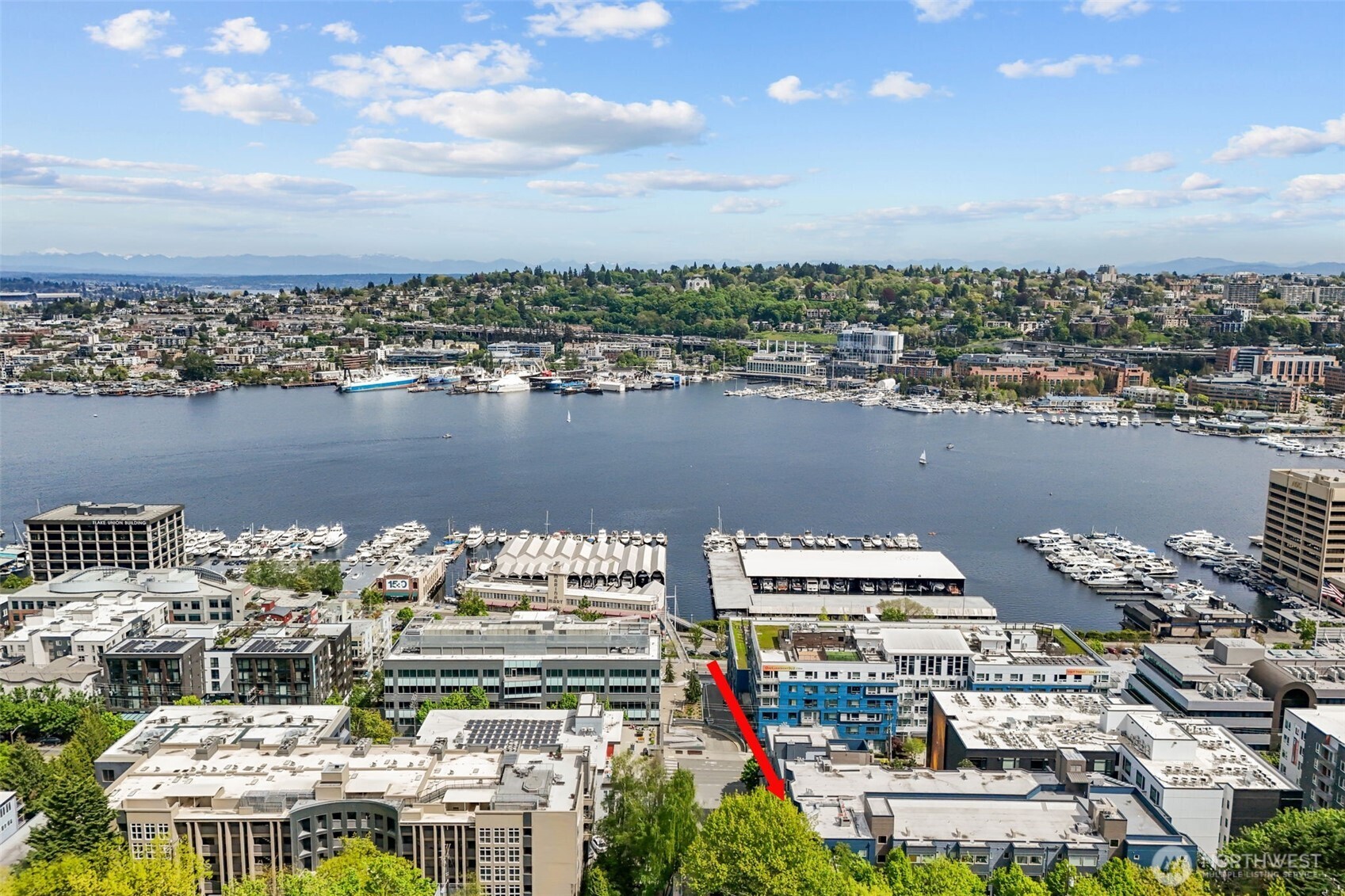 701 Galer Street #505, Seattle, WA 98109