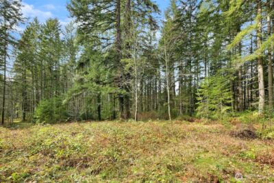 0 Sands Avenue NE, Bainbridge Island, WA 98110 - Photo 11