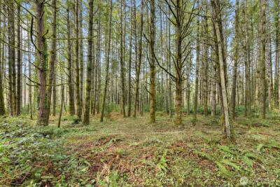 0 Sands Avenue NE, Bainbridge Island, WA 98110 - Photo 13
