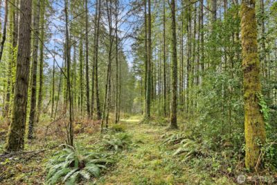 0 Sands Avenue NE, Bainbridge Island, WA 98110 - Photo 18