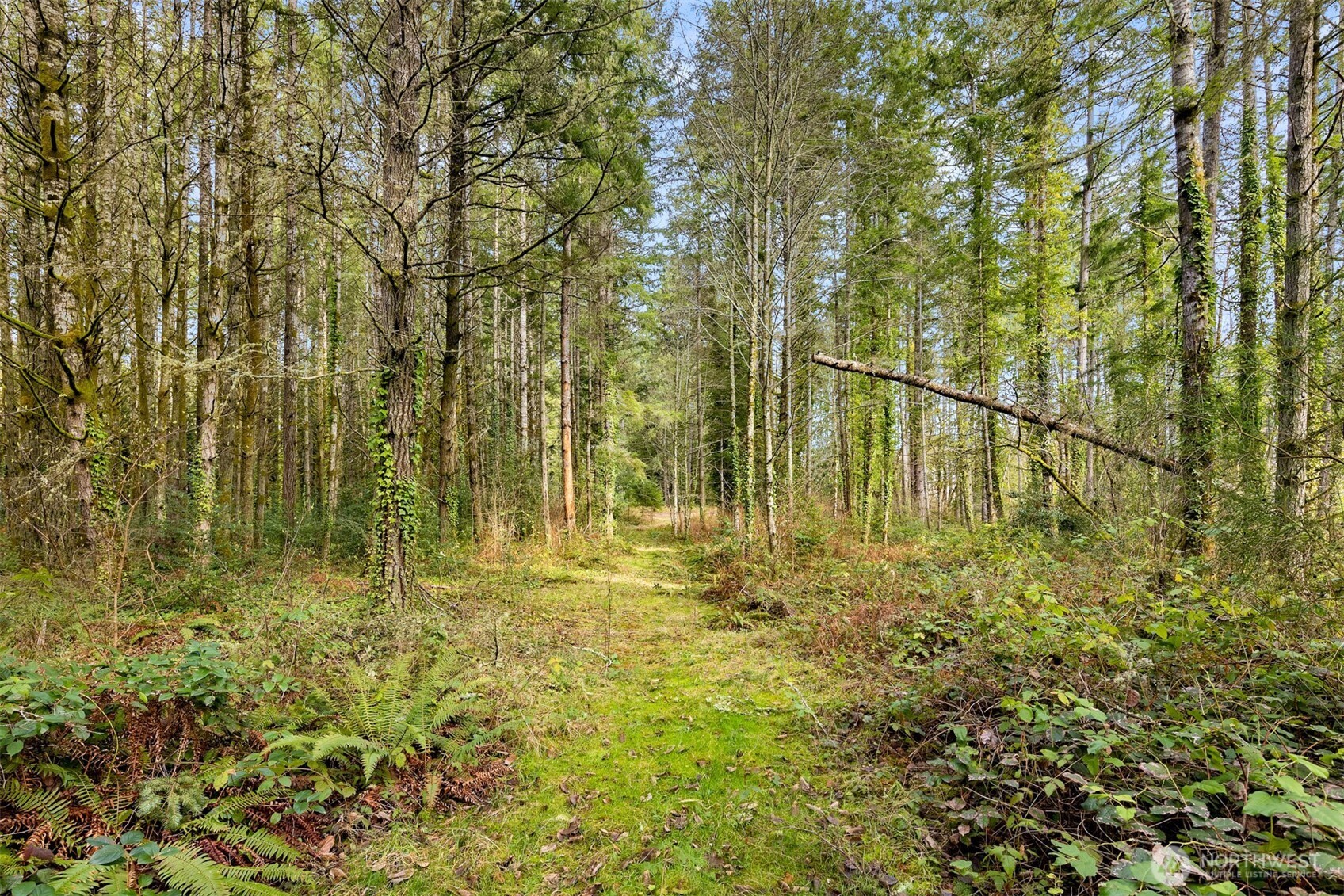 0 Sands Avenue NE, Bainbridge Island, WA 98110