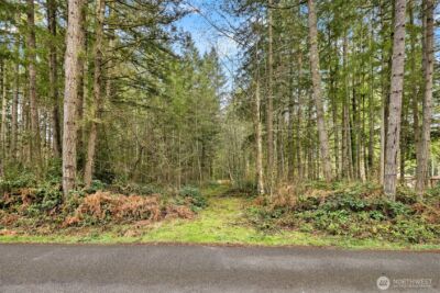 0 Sands Avenue NE, Bainbridge Island, WA 98110 - Photo 6