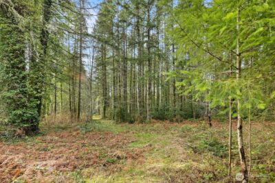 0 Sands Avenue NE, Bainbridge Island, WA 98110 - Photo 9