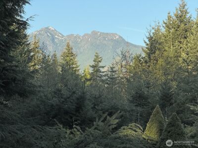 123 Headwaters Lane , Port Angeles, WA 98362 - Photo 35